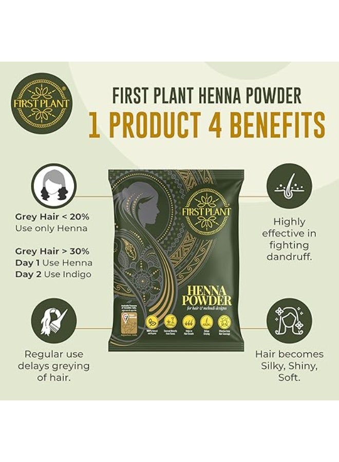 FIRST PLANT Premium Rajasthani HENNA POWDER, 100% ORGANIC Henna with GI Tag for Hair Colour and Hair Care (200 gm) - Image 3